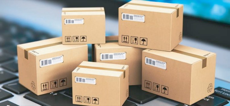 Secure parcel dispatch and delivery